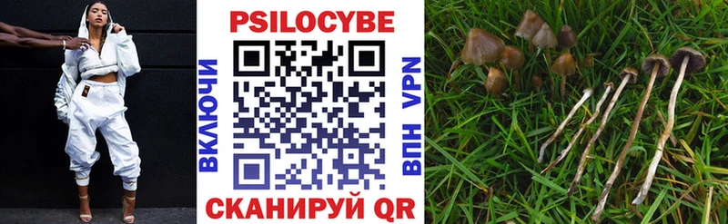 Псилоцибиновые грибы GOLDEN TEACHER  Купить где  Сосновый Бор 